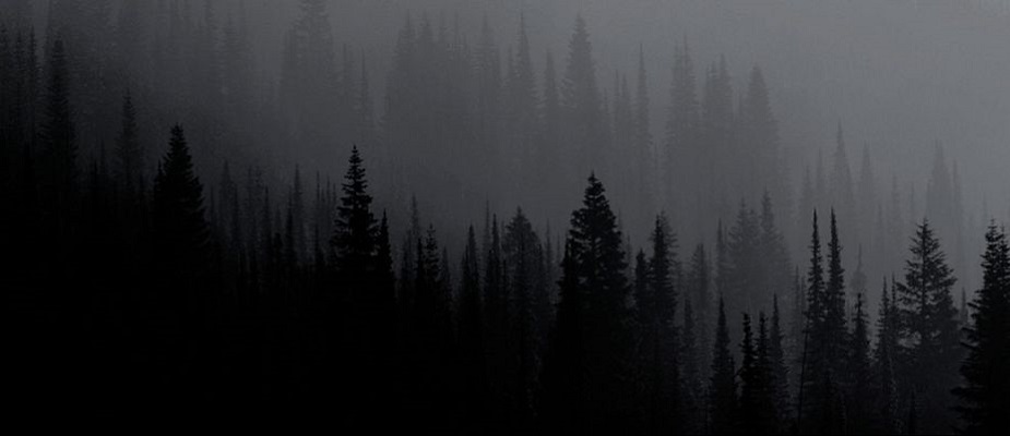 Онлайн-заказ